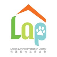 LAP logo